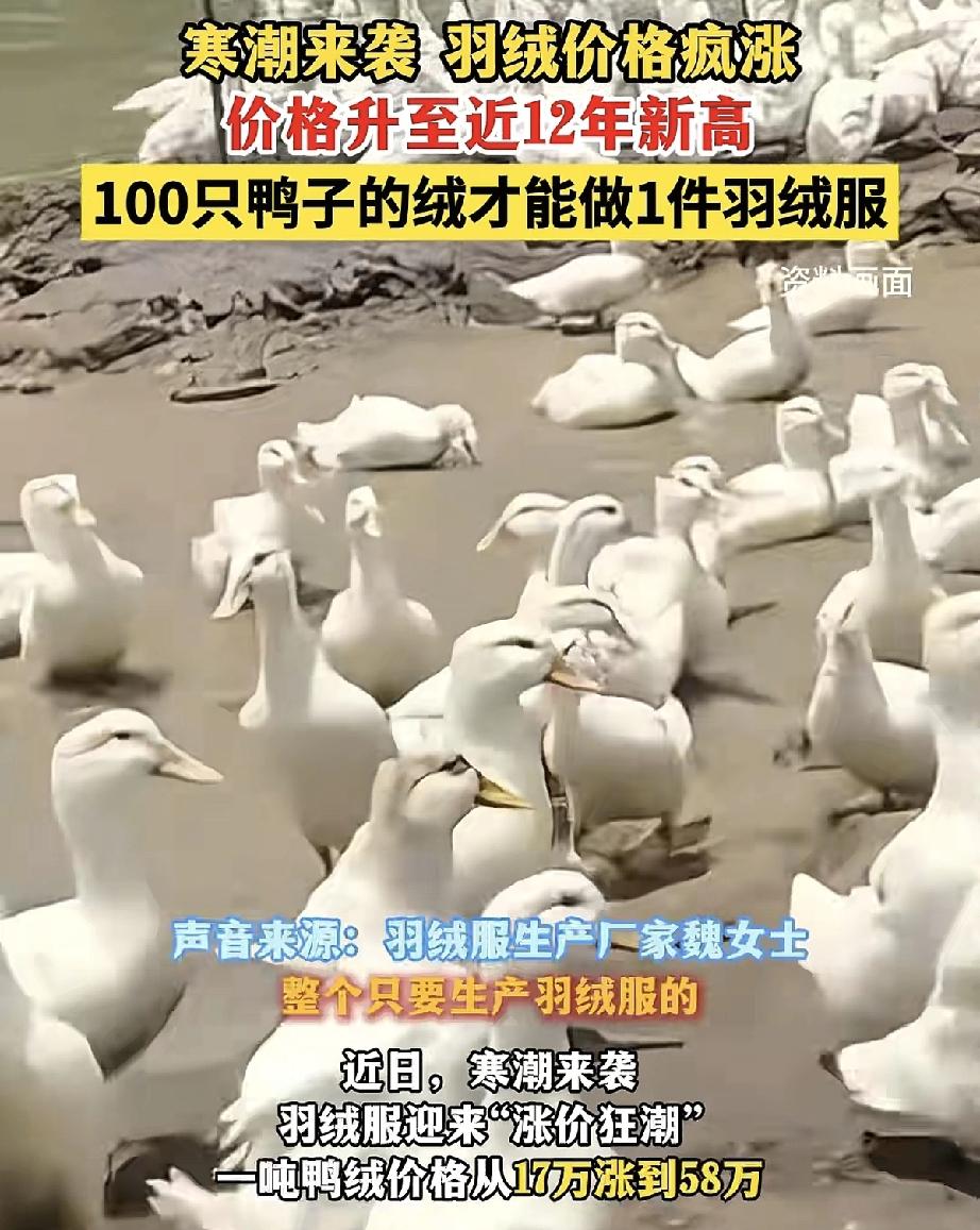 我有一种强烈的预感羽绒服接下来要变天了不是因为不卖了，也不是不保暖，而是刚刚