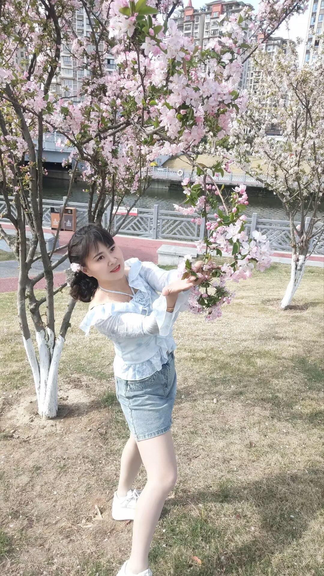 等到春花再度盛开，你会不会再次回来，哪怕只是短暂期待…