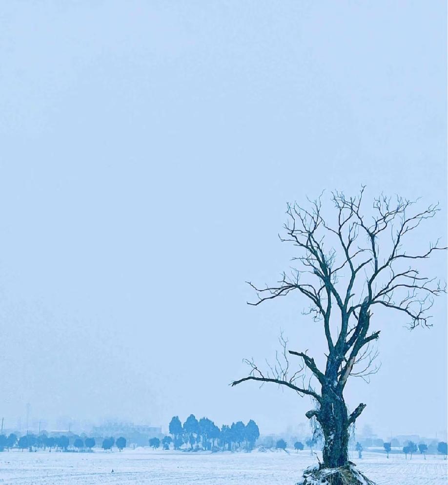 心理学家说：“骨子里越是自卑的人，往往越希望看到别人出丑，对强者越是阿谀奉承的