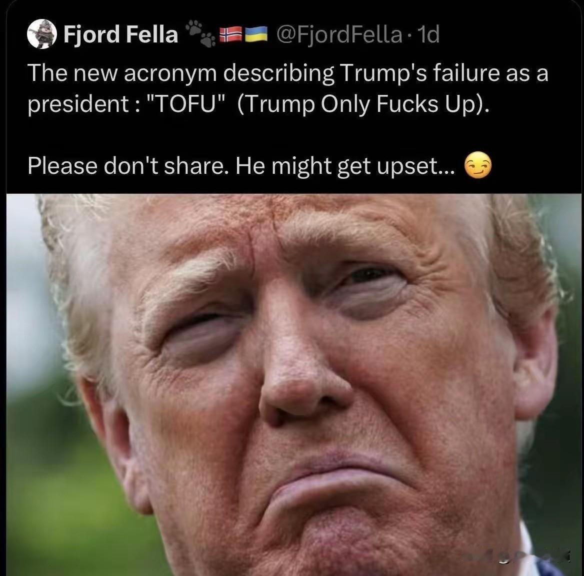 特朗普有了个新外号，叫TOFU（豆腐）。现在外界给特朗普起了新称呼，直接用英