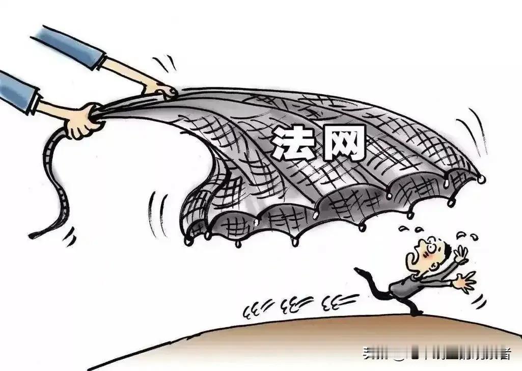 淹没董小姐的滔天浊浪肆意横流，法律大网可能要下场了连日来，因肖医生、
