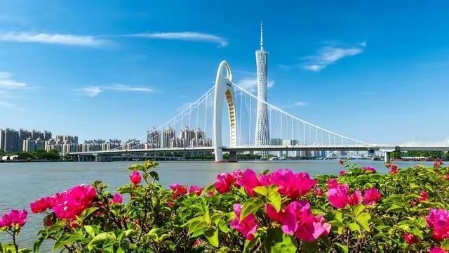 公办扩招，民办减招，文理科冰火两重天！2026省内高校在广东本科招生计划盘点第