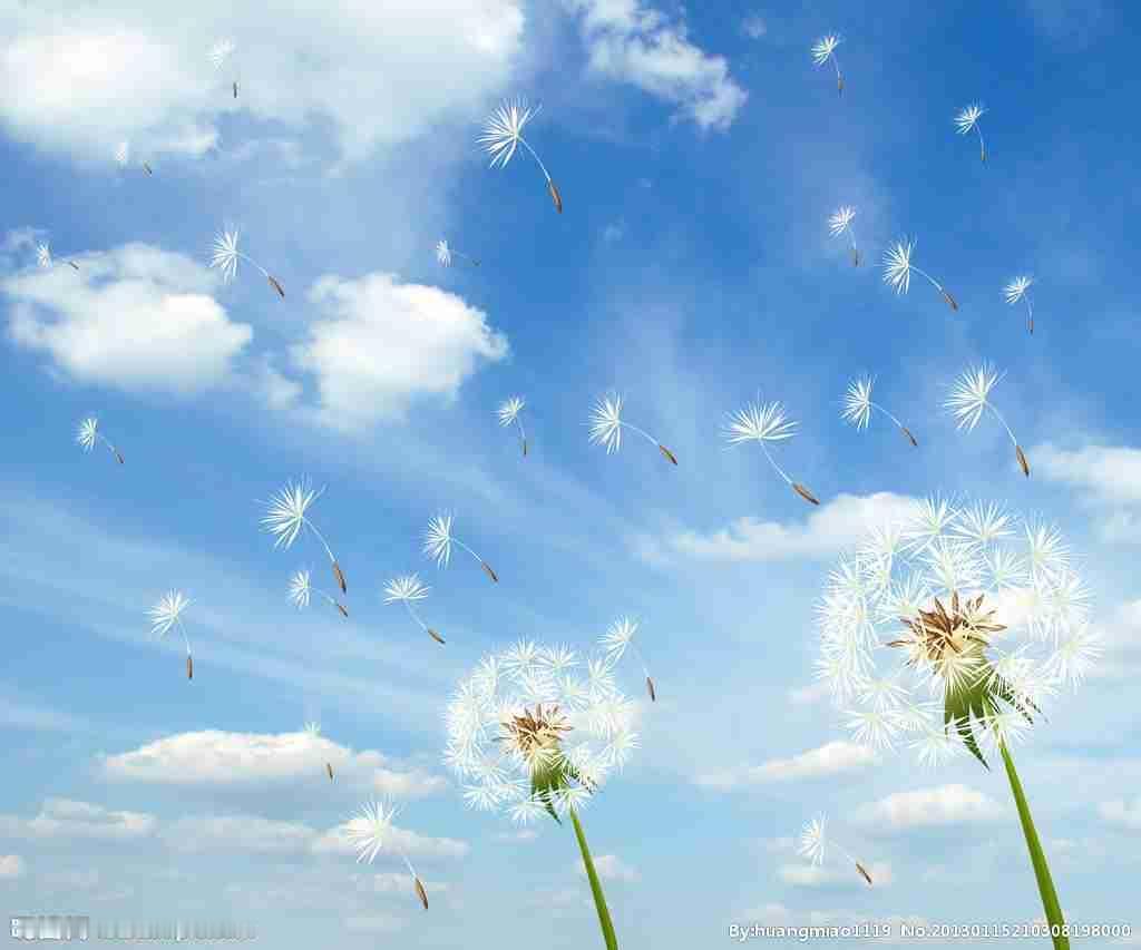 我的今日状态：😁轻松愉快我这里的天气：🌤️多云