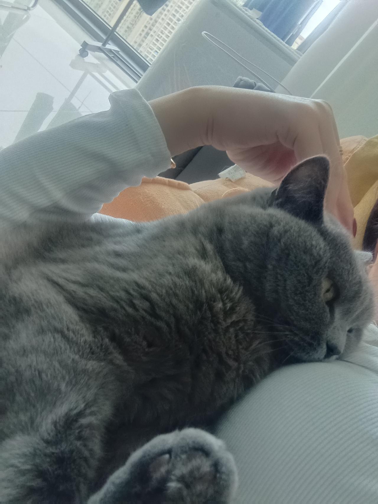 你家里有这么神奇的宠物吗？能让你对它爱不释手。以前在老家，好心收养了一条