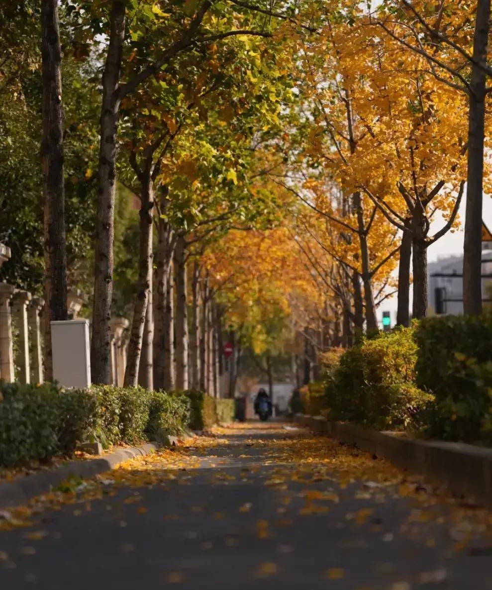 刷到一段“六十岁后要放下”的文字，大爷大妈们转疯了。文章没署名，就四句话：别老