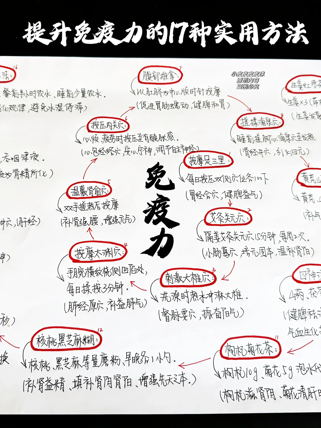 一次性解决所有免疫力问题！（超实用版）