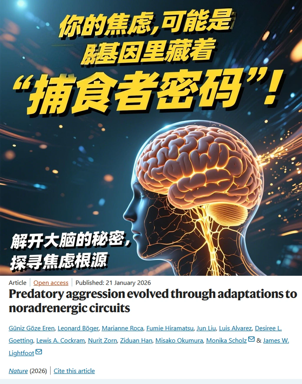 Nature重磅-焦虑症是攻击性基因太强大？