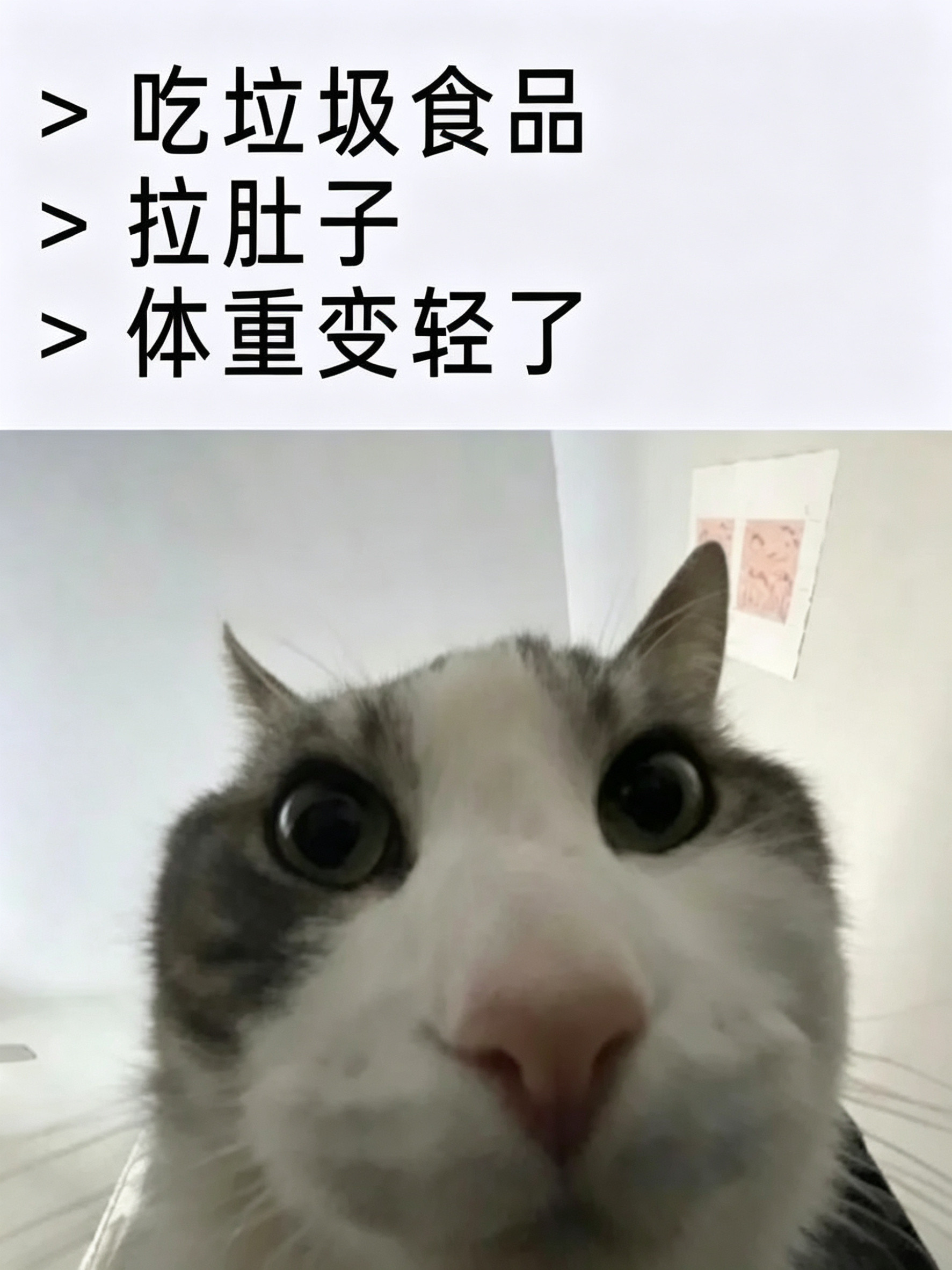 老是刷到吃豆角中毒瘦了好几斤的meme