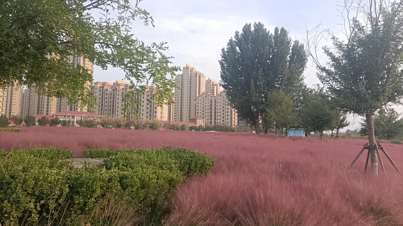 诗人装病逃过被杀的命运唐朝诗人司空图担任过中书舍人等官职，他厌倦了官场险恶