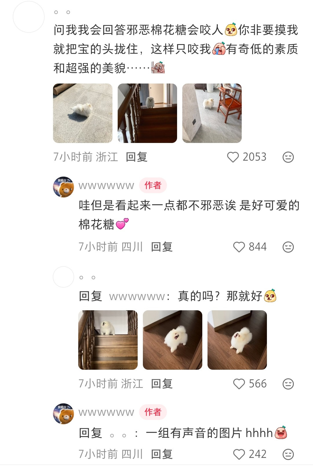 哈哈哈太好笑了，刚洗完澡的小狗是最佳赏味期