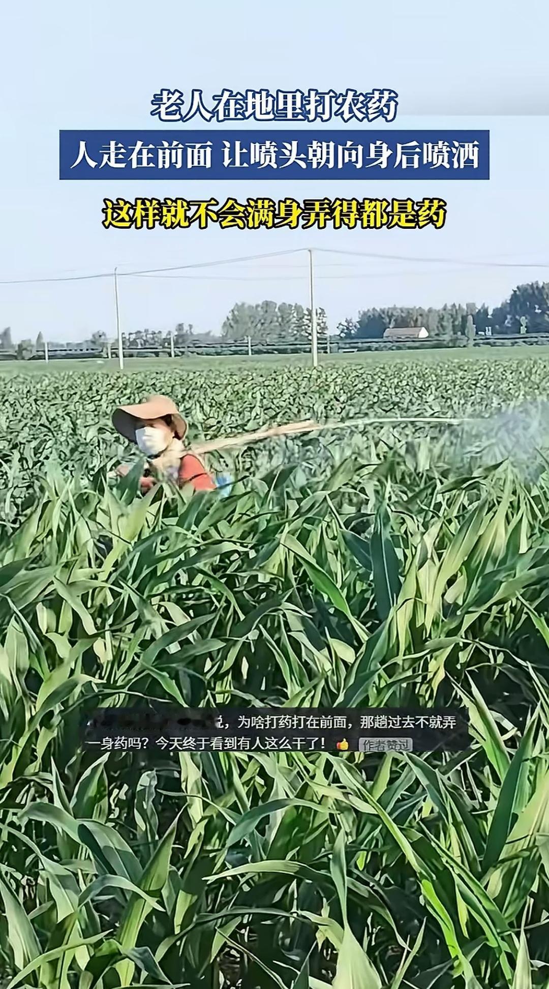 老农自创新招：背着长竿反向打药，身不沾药。老农打药时不向前喷洒，反而将喷头朝身