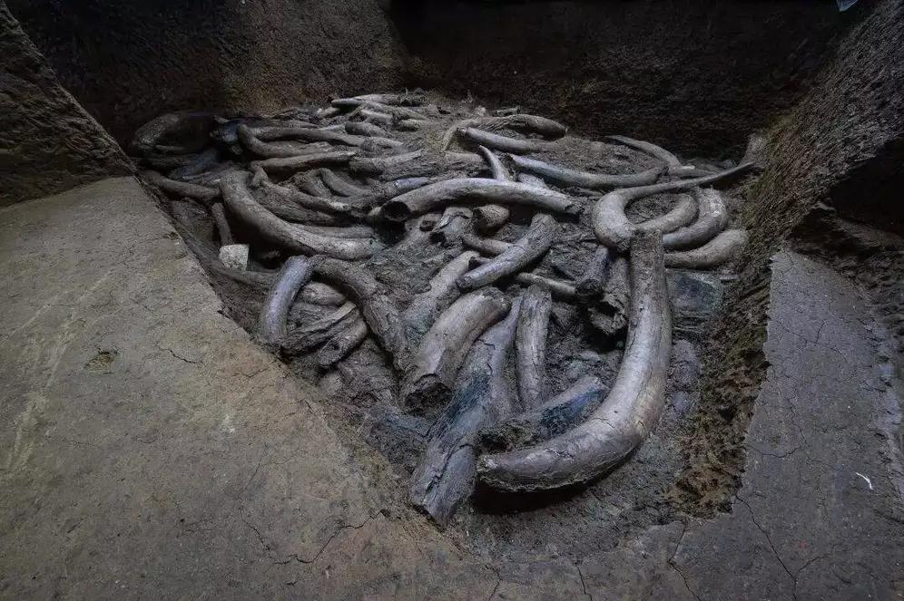 三星堆是用来做什么的？三星堆的发现颇具偶然性。1929年，当地农民燕道诚在淘沟时