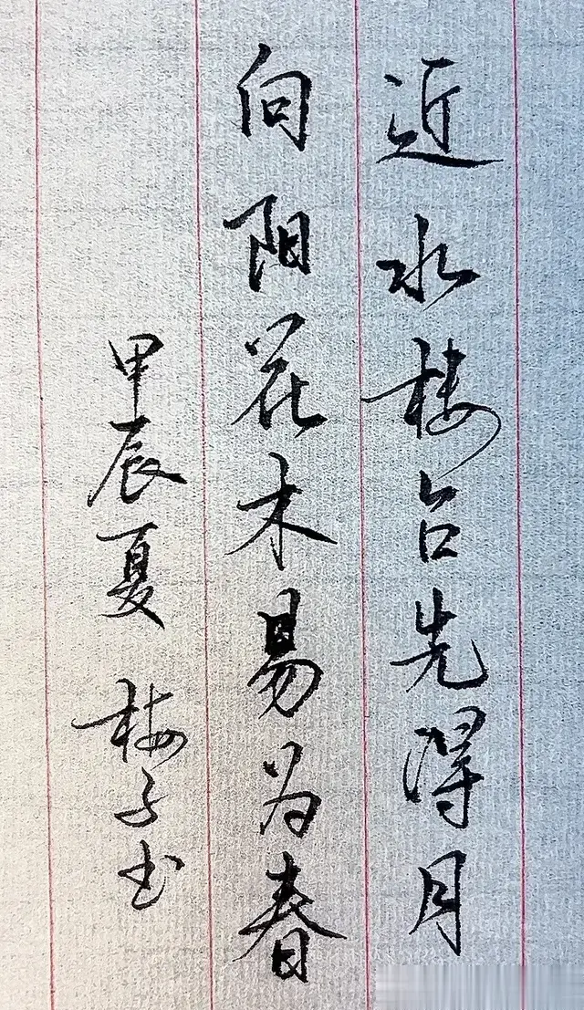 只有练字的人, 才能体会到写字的乐趣, 喜欢梅子的字