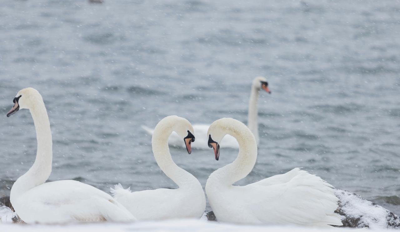 买银行股真的能挣钱吗不要看股价波动，把它当成存款去看，用股息去对比存款利息，就是