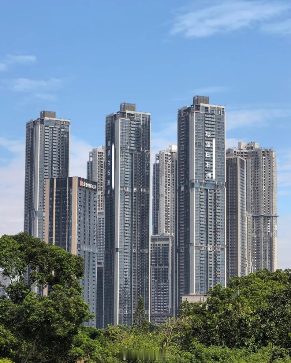 深圳绿景白石洲还有2个月就就交房了，最高74层，高区3T6户。电梯速度还挺快的，