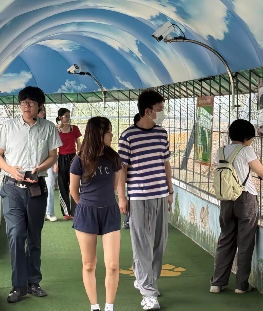 贾乃亮与甜馨回到哈尔滨老家游览东北虎林园，甜馨长高了，和妈妈挺像