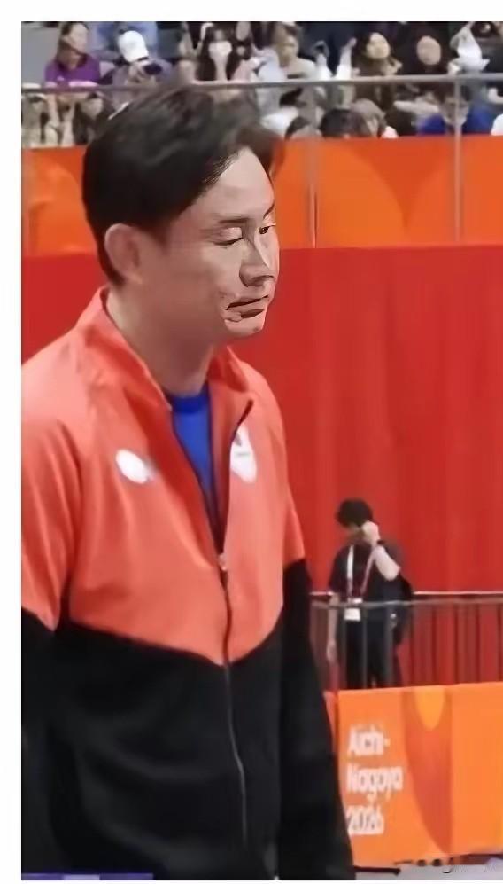 坦白说，这2个华裔的日子并不好过。1个是日本女乒主教练，1个是女儿张本美和的专职