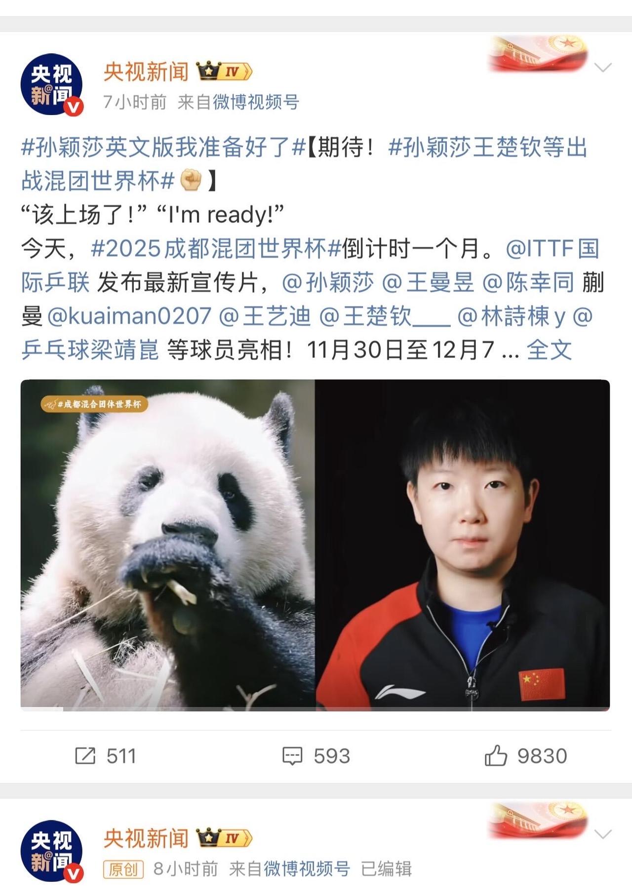 央妈对莎莎的宠爱有目共睹，莎莎已经和大熊猫一个级别了，好用心找的可爱猫图片，还是