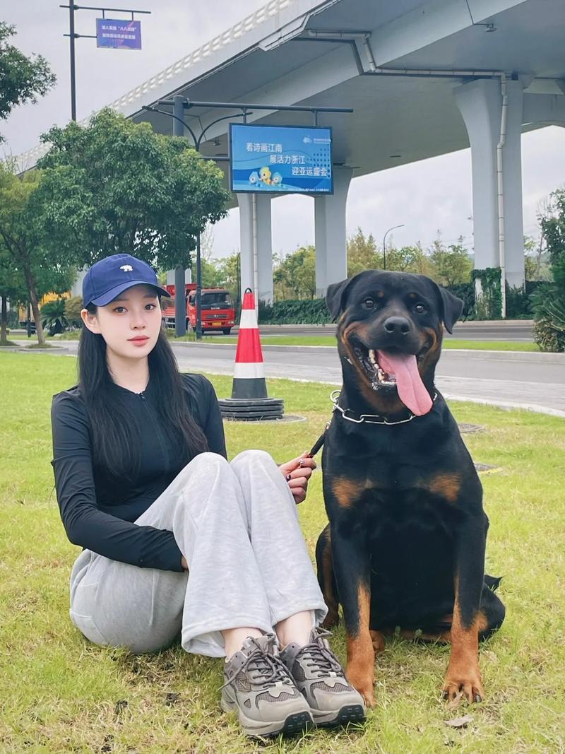 为什么动物（猫狗）保护法在国外能顺利通过并实施，在我国则会面临如此巨大的争议？因