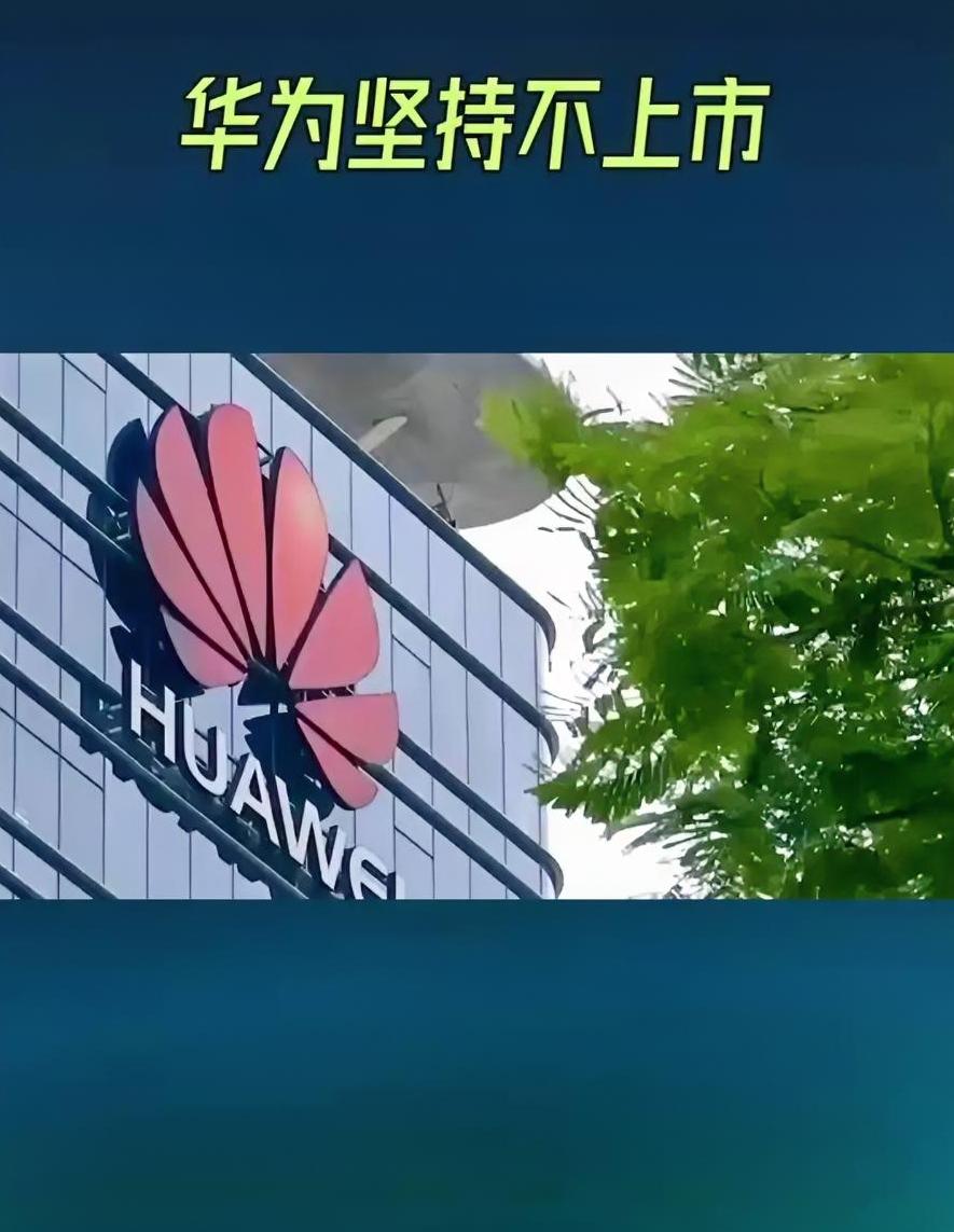 这下彻底被“华为带偏”了！因为华为坚持不上市，现在字节跳动不上市，菜鸟、Deep