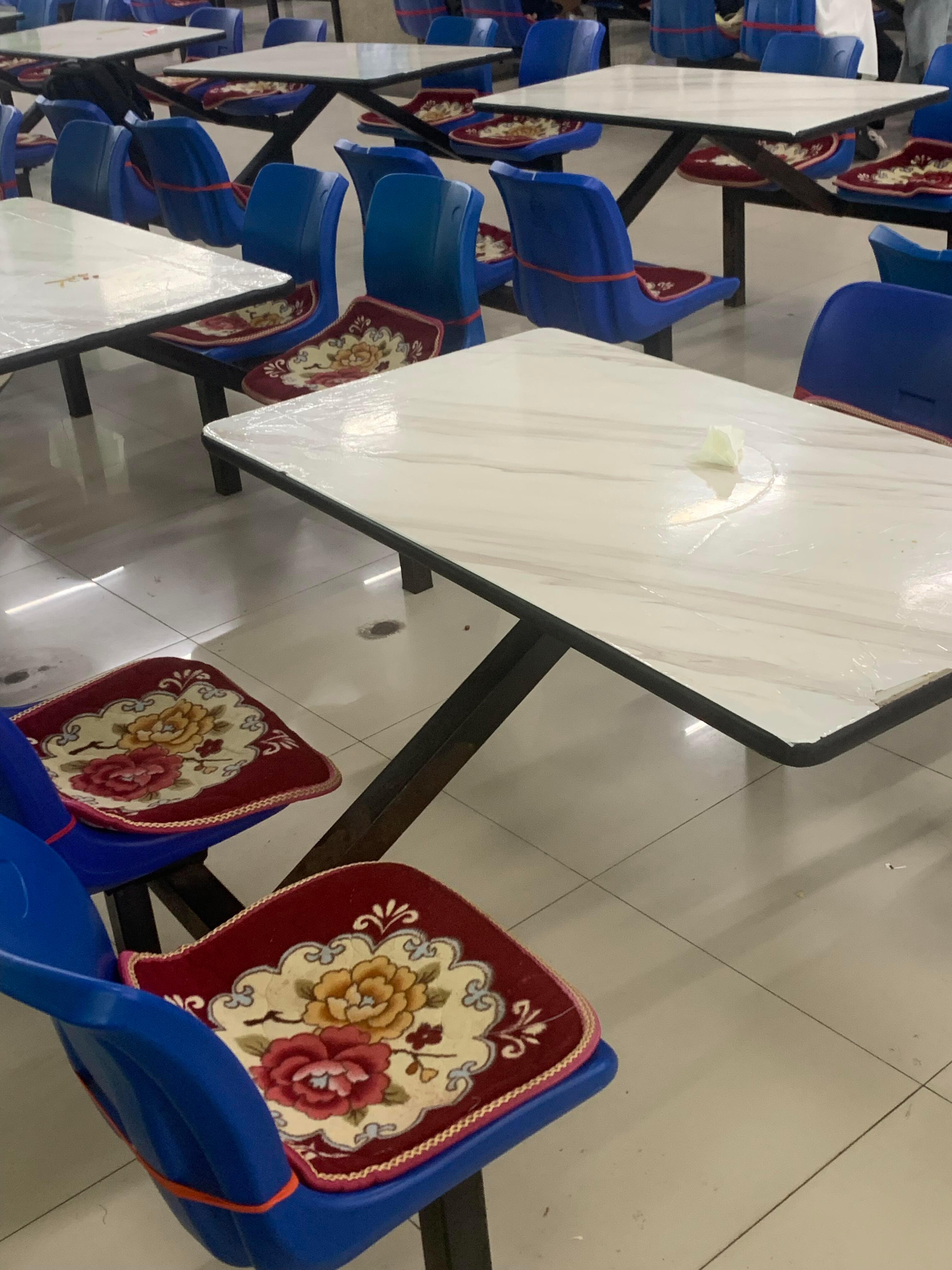 这屁垫小时候抱过我​​​