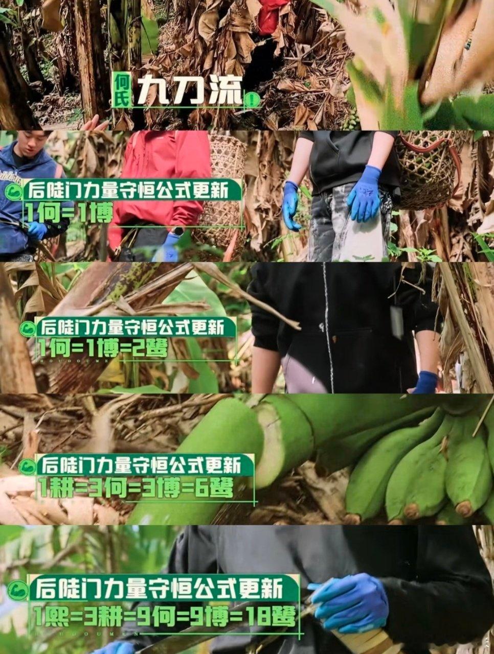 赵小童也在用十个勤天计数法🌟凭借超高默契玩转全场，名字变量词新奇又好记，轻松应