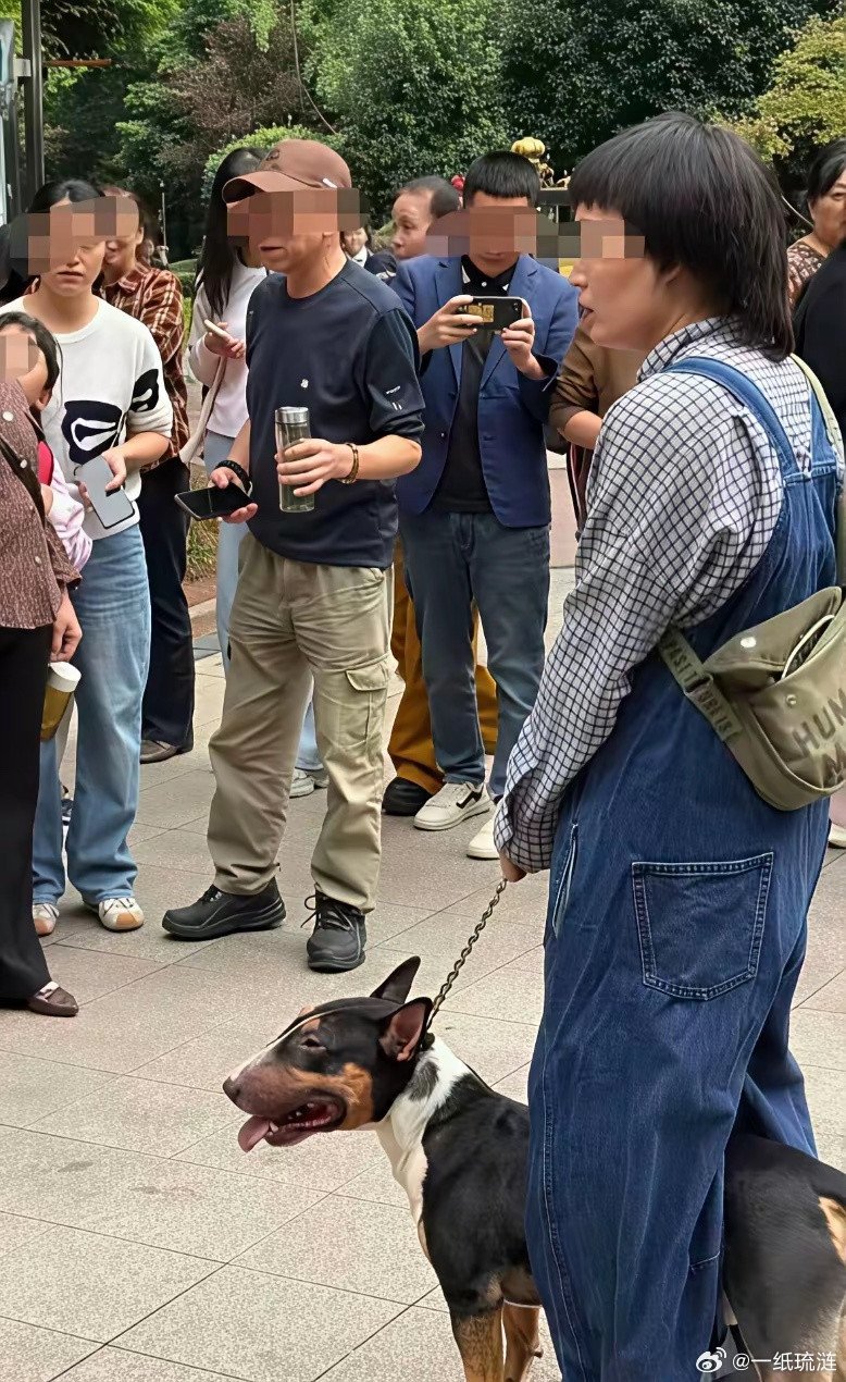 眉山那只牛头梗会伤人，是因为主人缺少了这个2个措施：第1.没有给它戴嘴套，明知牛