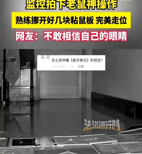 这下解释不清了！重庆，女子发现家中有老鼠，就弄了很多粘鼠板放在地上，不料