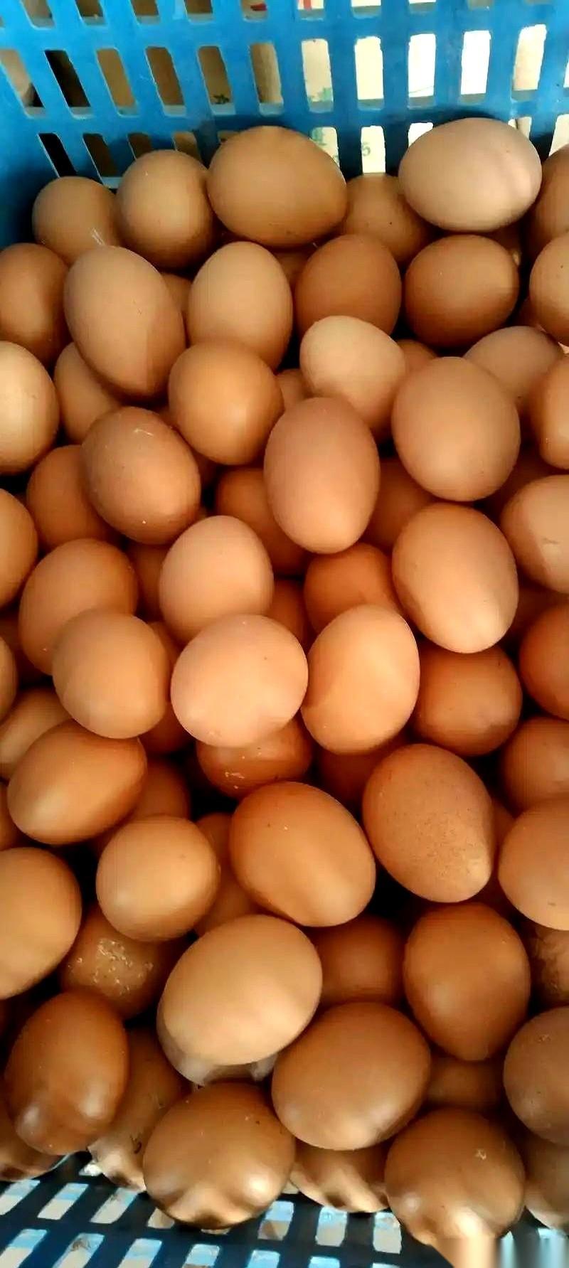 2026年1月10号，北京那边的鸡蛋价格，就两个字。不是涨，也不是跌。是“稳