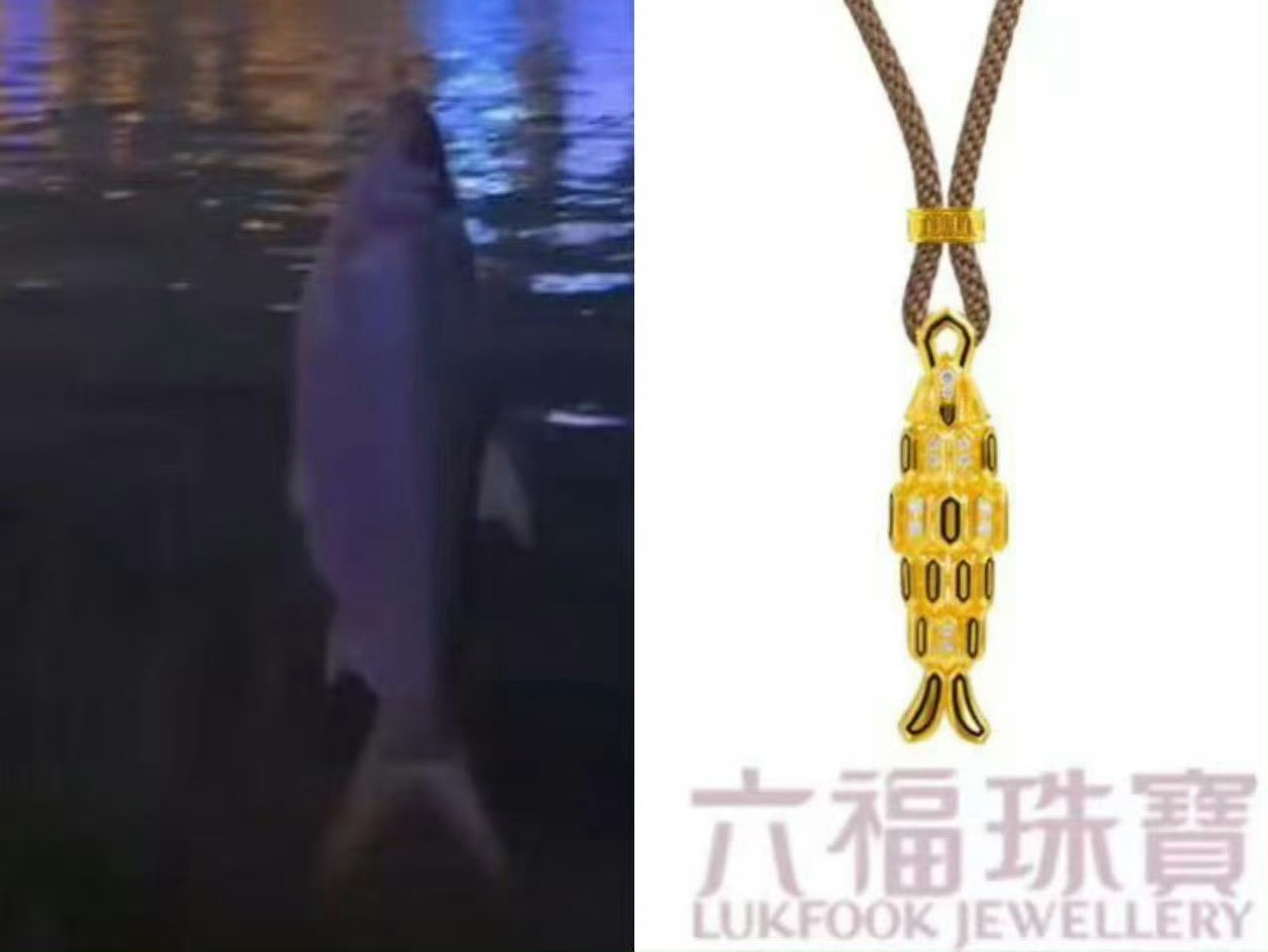 哈哈哈，我哥哥，放长线，吊大鱼，🎣🎣🎣