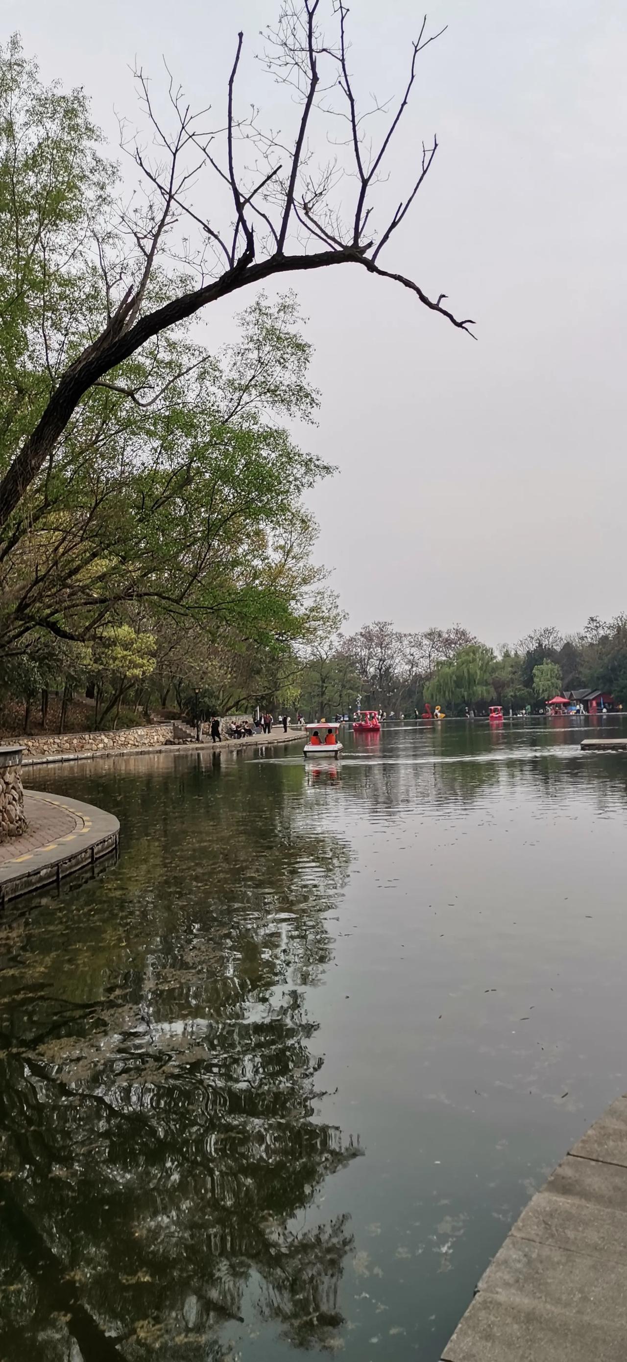 美景随手拍。