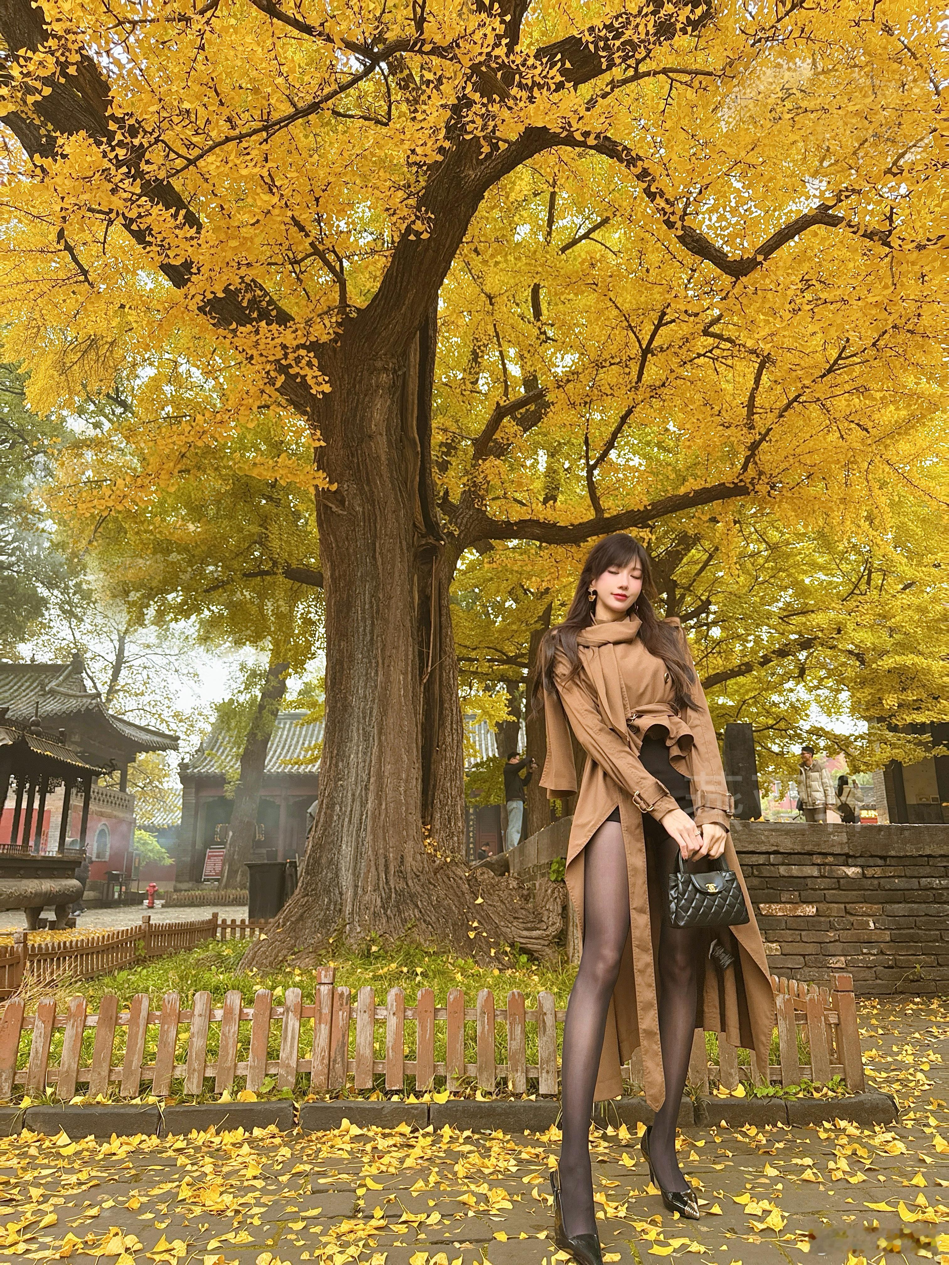 🍃春去秋来🍂OOTD金秋日常碎片plog