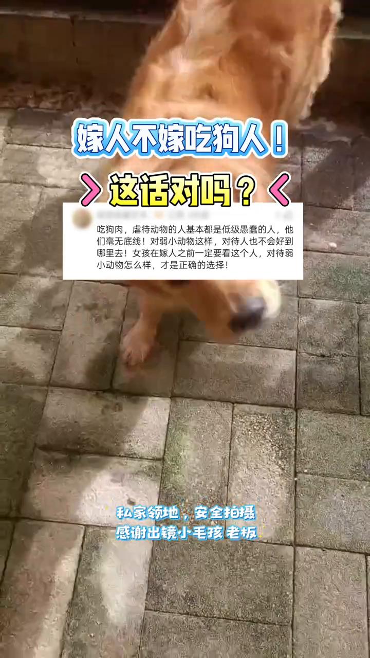 嫁人不嫁吃狗人！这话对吗？吃狗肉，虐待动物的人基本都是低级愚蠢的人，他们毫无底