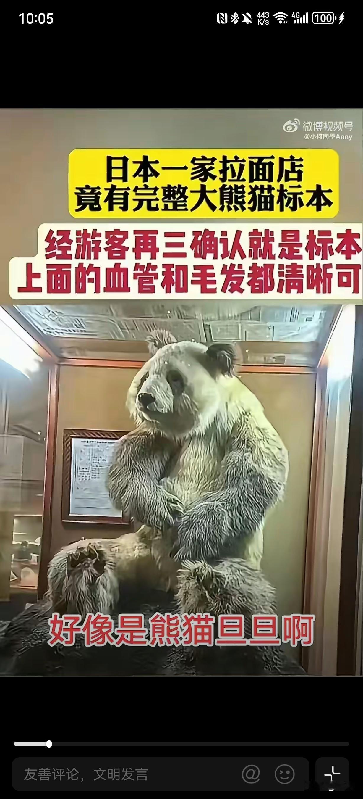 熊猫旦旦标本现身日本拉面店，沦为商家招揽顾客噱头。大熊猫旦旦是极具象征意义的中
