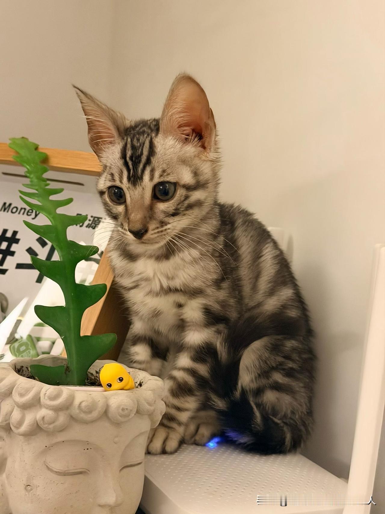 两口子之间老公不会亲口告诉你，除了亲密关系，他真正想要的特简单，下班推开家门，