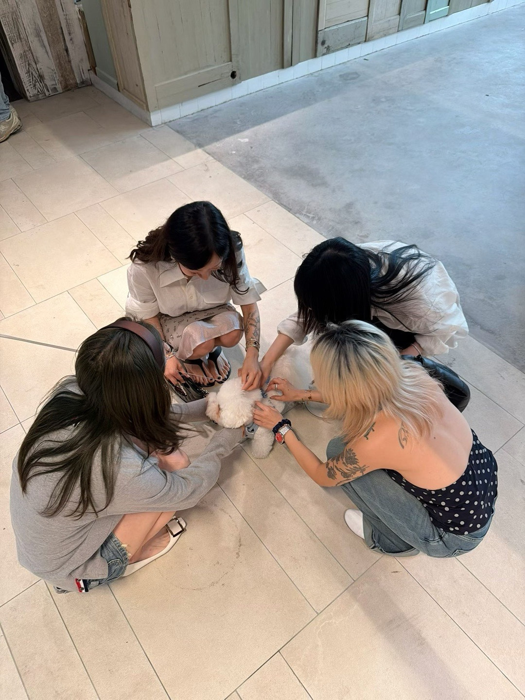 最近太快乐！btw每次直播真是怎么准备都觉得不够充分啊～