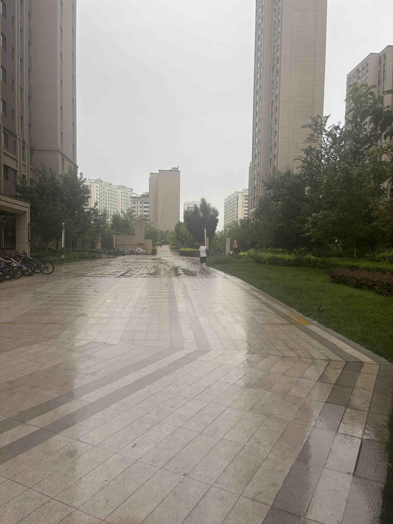下雨了🌧️！终于下雨了！不再是滴几下了！今天乌鲁木齐下雨
