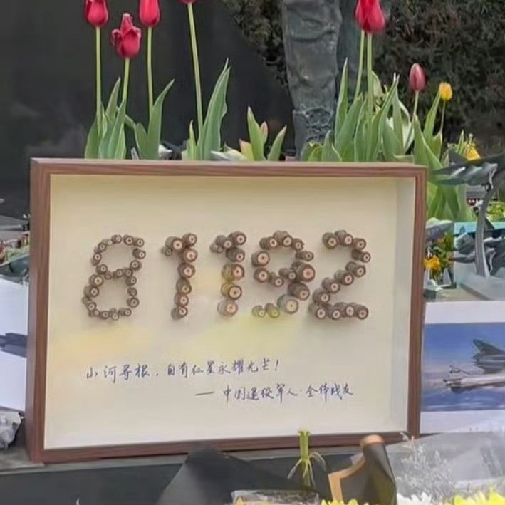 王伟烈士墓前摆满中国战机用红星杨树枝拼成的“81192”，中国退役军人全体战友！
