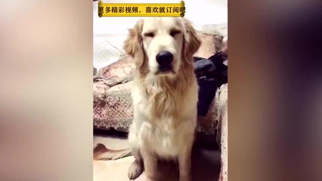 1436357416591926204.jpeg?id=0