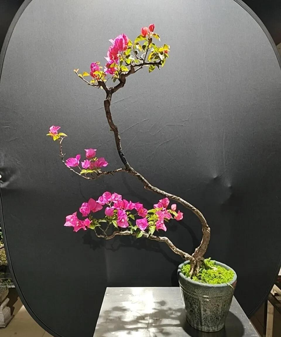 人生百味，淡最真，浓不如淡，淡才是一个人最好的活法，生活淡，柴米油盐是清欢，农耕