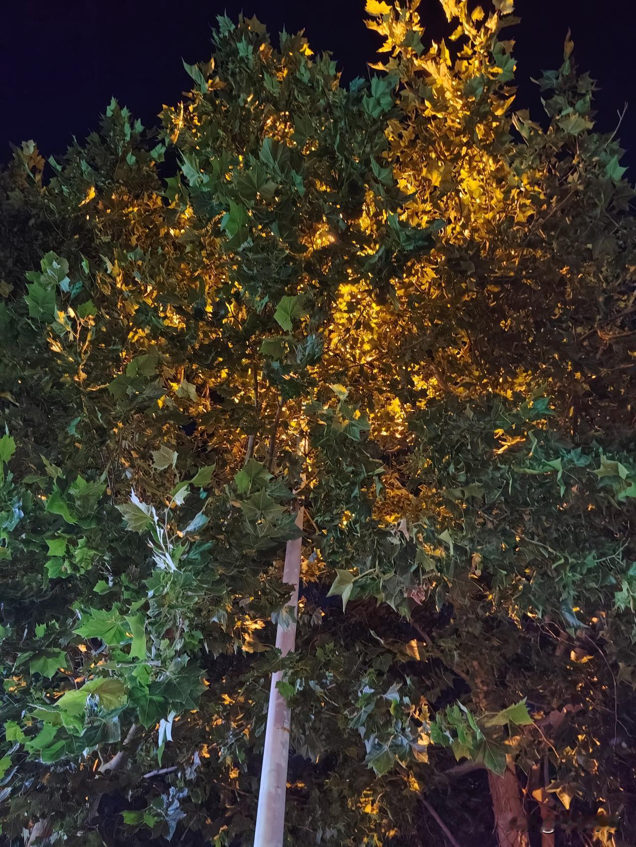 这个端午节过得，好像所有人都知道我体检有点问题，都不理我，谁也不约我喝酒。我