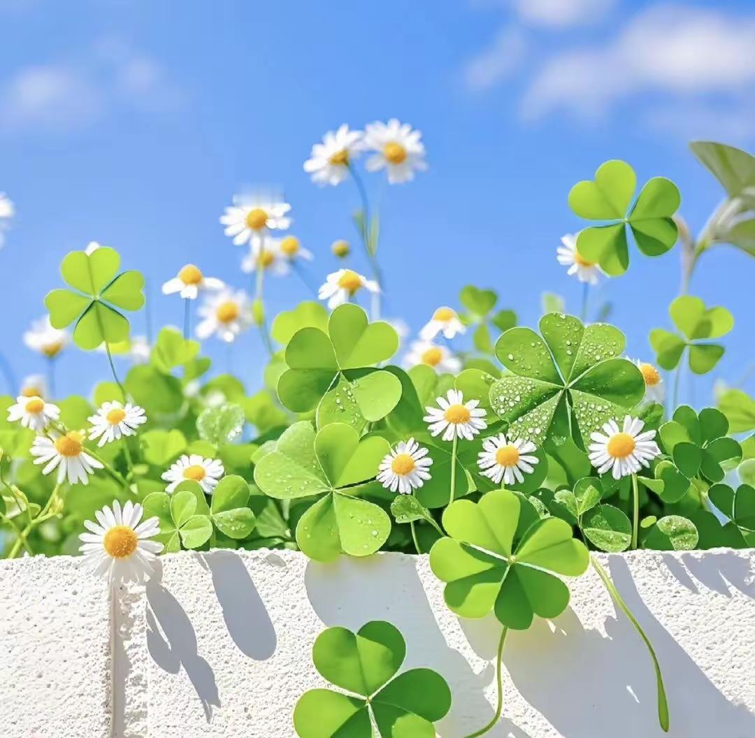 高考“赋分”让学生无法认清自我现在的高考“赋分制”在一定程度上，也许是公平的，