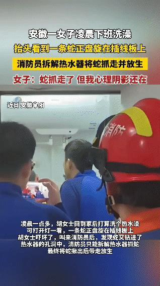 凌晨女子洗澡抬头撞见蛇盘在插线板上女子吓懵了安徽阜阳，凌晨1点多，胡女