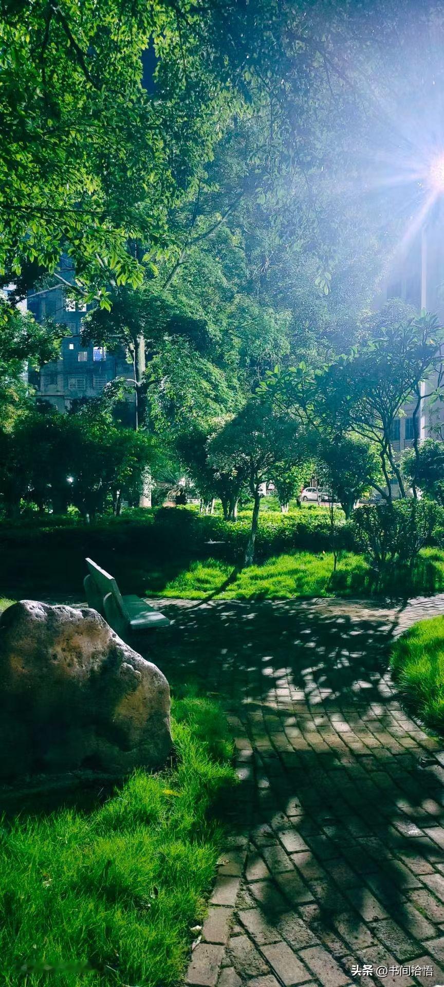 一位性心理学家说透人性本质的一段话，清醒又扎心：“裤裆里那点躁动，你如果只会把它