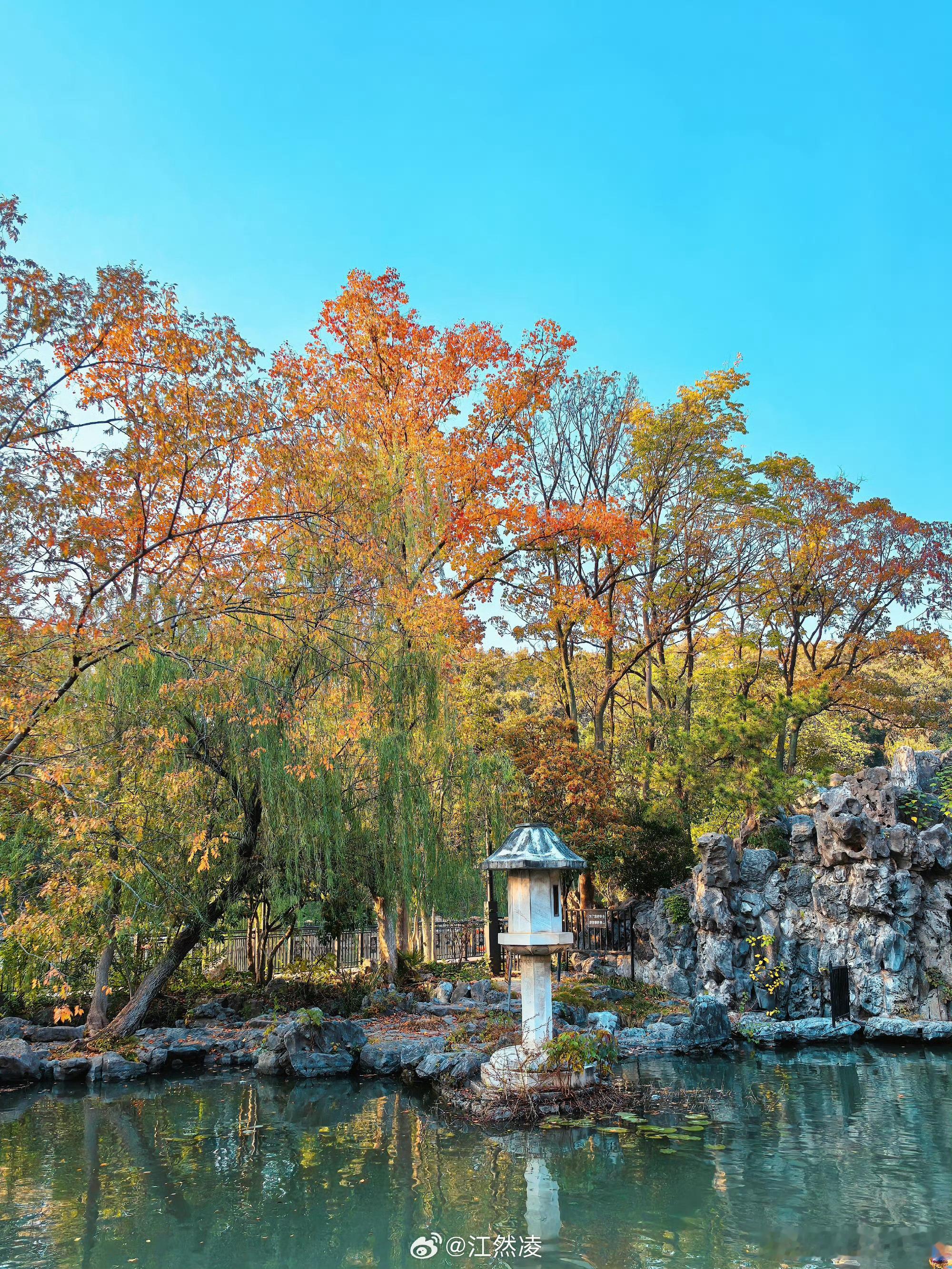 秋意正浓时白墙黛瓦曲径通幽，安徽这里一池残荷摇曳着最后的诗意，银杏与乌桕在檐角