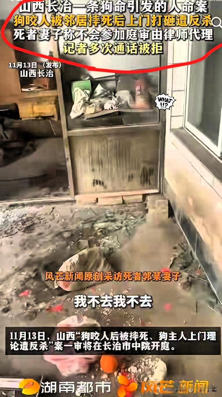 这狗主人一家真是奇葩，山西长治“狗咬人”事件今天开庭，采访中说的声泪俱下，结