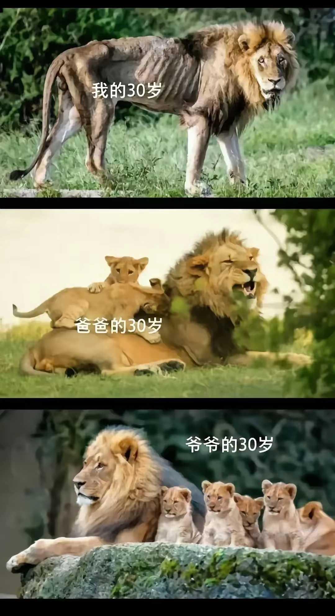 刚看到的，形象