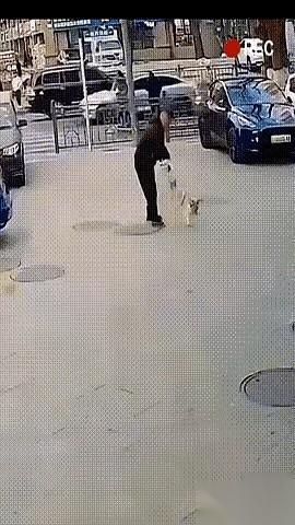 那根棍子砸下来，没砸到人，而是狠狠敲在了地上，水泥地迸出一点火星。一个中年男人