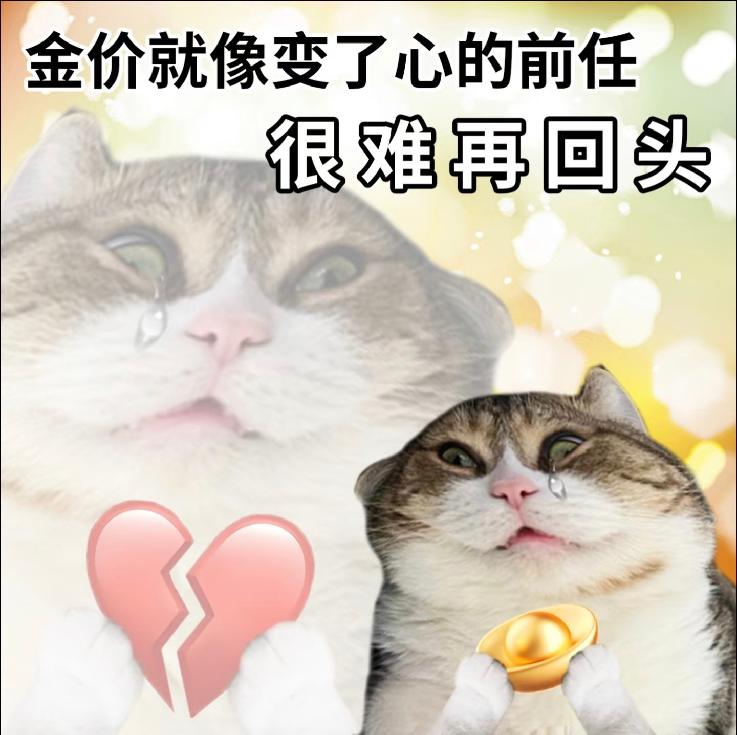 金价我希望下次看到热搜，是跌回6字头而不是涨到8字头[笑着哭]​​​