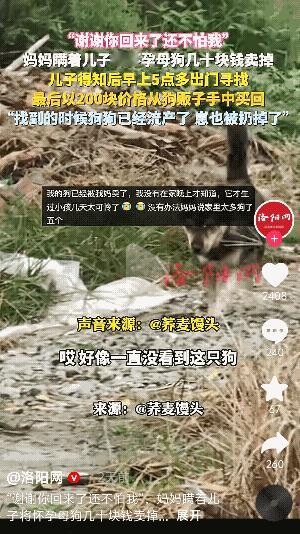 “泪目了!”湖北,一妈妈瞒着儿子卖掉了家里怀孕快生的母狗。儿子知道后,花了42小